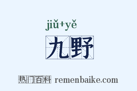 九野是什么意思的图片